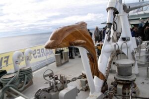 Los secretos revelados del Rainbow Warrior III en su visita a Magallanes