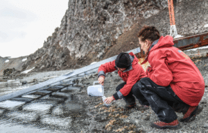 Buscan en la Antártica microorganismos que puedan producir Omega 3