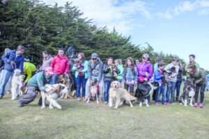 Con exitosa muestra canina  finalizó la Expogama 2017