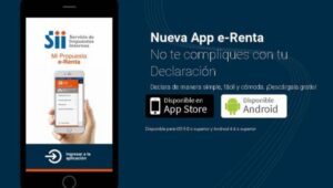 SII Elabora lista con casi 1.000 grandes empresas de “alto riesgo tributario