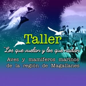Inscripciones abiertas para el taller “Los que vuelan y los que nadan. Aves y mamíferos marinos de la Región de Magallanes”