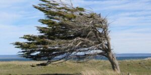 Se cancela Alerta Temprana Preventiva para la Región de Magallanes y Antártica Chilena por vientos