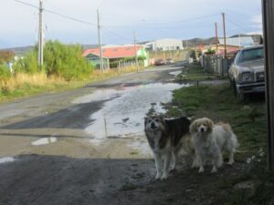 Vecinos de Pasaje Elvira Rubín Villa reclaman porque está semicortado por lagunas barrosas