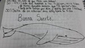 Ballena Azul: no hay casos en Magallanes pero expertos hacen recomendaciones a los padres
