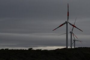 Las divergentes posturas del proyecto de Parque Eólico Cabo Negro