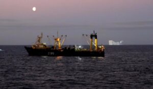 Record de pesqueros fiscalizados en la Antártica