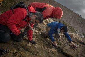 Cerro Guido se catapulta como cuna de fósiles