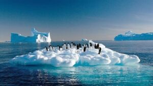 Las maravillas del Continente Blanco en la exposición “Antártica Extrema”