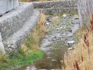 Estero canalizado transformado en un singular basural clandestino