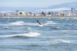 Sernatur califica de positiva la promoción de Magallanes y la Antártica