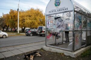 Refugios para peatones atentan contra la limpieza local y salud de los usuarios
