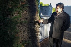 Plaga amenaza cipreses  del Cementerio Municipal