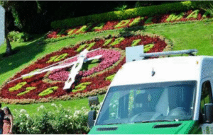 Pino destruye Reloj de Flores en Viña del Mar