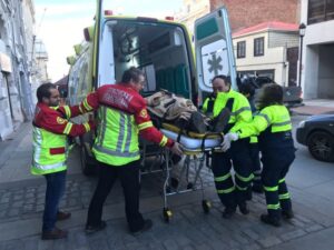 Caídas de árboles, desprendimiento de techumbres y lesionados fue el saldo del fuerte viento en Punta Arenas