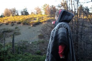 SAG llama a no alarmarse ante avistamiento de puma en sector “Rincón chileno”