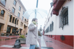 “No ha habido un sistema de esta naturaleza en años”