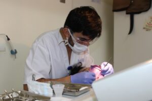 Servicio de Salud Magallanes inicia proceso de rondas médicas
