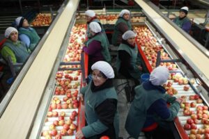Satisfacción laboral de los chilenos retrocedió a 66%