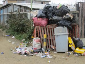 Basural a domicilio en Pasaje Luis Álvarez