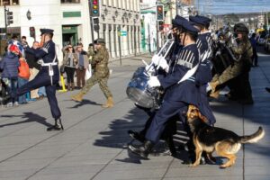 Mordida de perro a un efectivo de  la FACh marcó el desfile dominical
