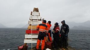 Realizan mantenimiento de faros del área norte de la región de Magallanes
