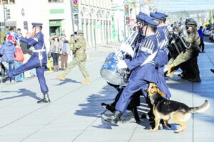 ¿Los perros siguen siendo los  mejores amigos del hombre?