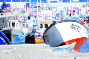 Ley Navarino: sector pesquero de Tierra del Fuego se siente perjudicado por una “tercera variante”