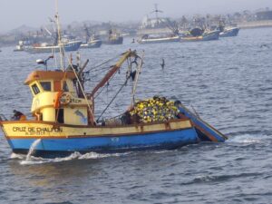Seno Almirantazgo y sus potenciales para convertirse en Área Marina Protegida