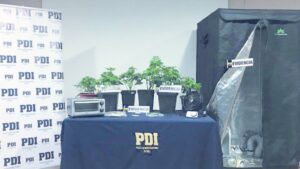 Investigación por asalto a bencinera terminó con detención de imputado que mantenía plantas de marihuana en su domicilio