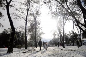 “Benigno” invierno magallánico contrasta con ola polar que cubre el centro y sur de Chile