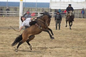 Deporte Rey de la Patagonia:“Las jineteadas”