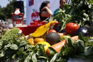 Cerca del 50% de la basura en el vertedero es materia orgánica
