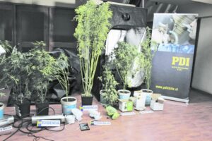 Con arraigo fue dejado sujeto que mantenía casi un kilo de marihuana