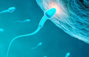 Hombres occidentales cada vez tienen menos espermatozoides, según estudio