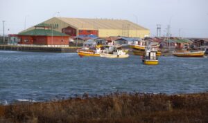Pescador encontró osamentas humanas sobre roqueríos en borde costero de Porvenir