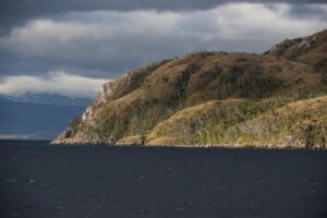 Tierra del Fuego: el castillo del pingüino Rey