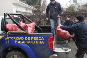Persecución policial terminó con conductor detenido y media tonelada de centolla incautada