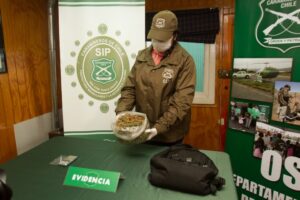 SIP detuvo a sujeto que portaba  bolsa de marihuana en una mochila