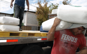 “Ley del saco”: disminuye peso máximo que puede cargar un trabajador