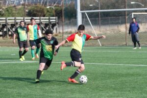 Liga Leñadura: Revisa la tabla de posiciones de la Copa Mega Store