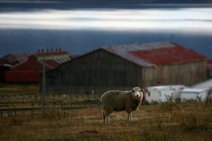 Preocupante déficit de agua en Magallanes