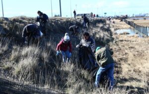 El Humedal Tres Puentes quedó limpio para la nidificación de aves