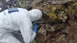 Encuentran osamentas de niña  yagán en Puerto Williams