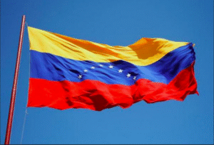 Venezolanos en Punta Arenas rechazan triunfo oficialista en elecciones de gobernadores