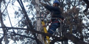 Más de $5.960 millones deberán pagar distribuidoras por compensaciones