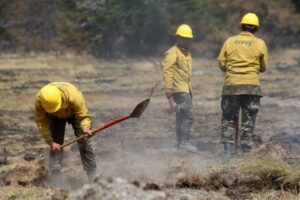 “Está bien la inversión de Conaf, pero esto es una deuda histórica que tienen con el parque”