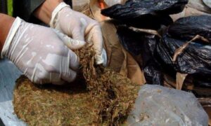 Incautan 8 kilos de marihuana con destino a Río Grande