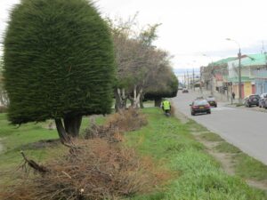 Limpieza de Avenida Independencia aporta al paisaje urbano y seguridad