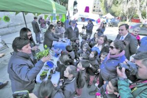 Magallanes se tiñe de verde: múltiples actividades en torno a la ciencia y medioambiente