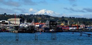 Punta Arenas - Puerto Montt será  la nueva ruta aérea de JetSmart
